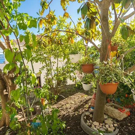 Marija Jesenice (Split-Dalmatia)