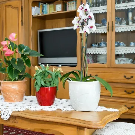 Apartment Marija *
